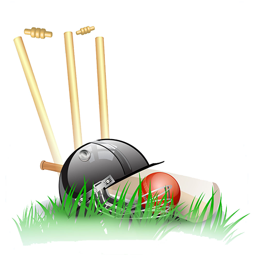 Tez Shots cricket APK
